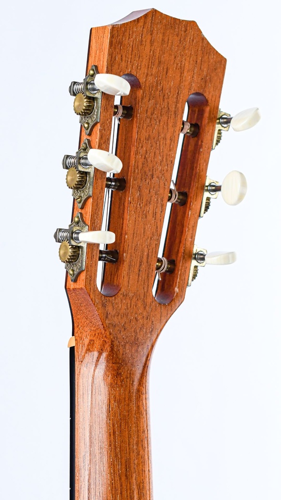 Taylor 414CE Limited Edition 2006-5.jpg