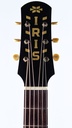 Iris AB Sunburst 2022-4.jpg