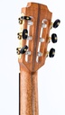 Lowden S25J Jazz Nylon 2024-6.jpg