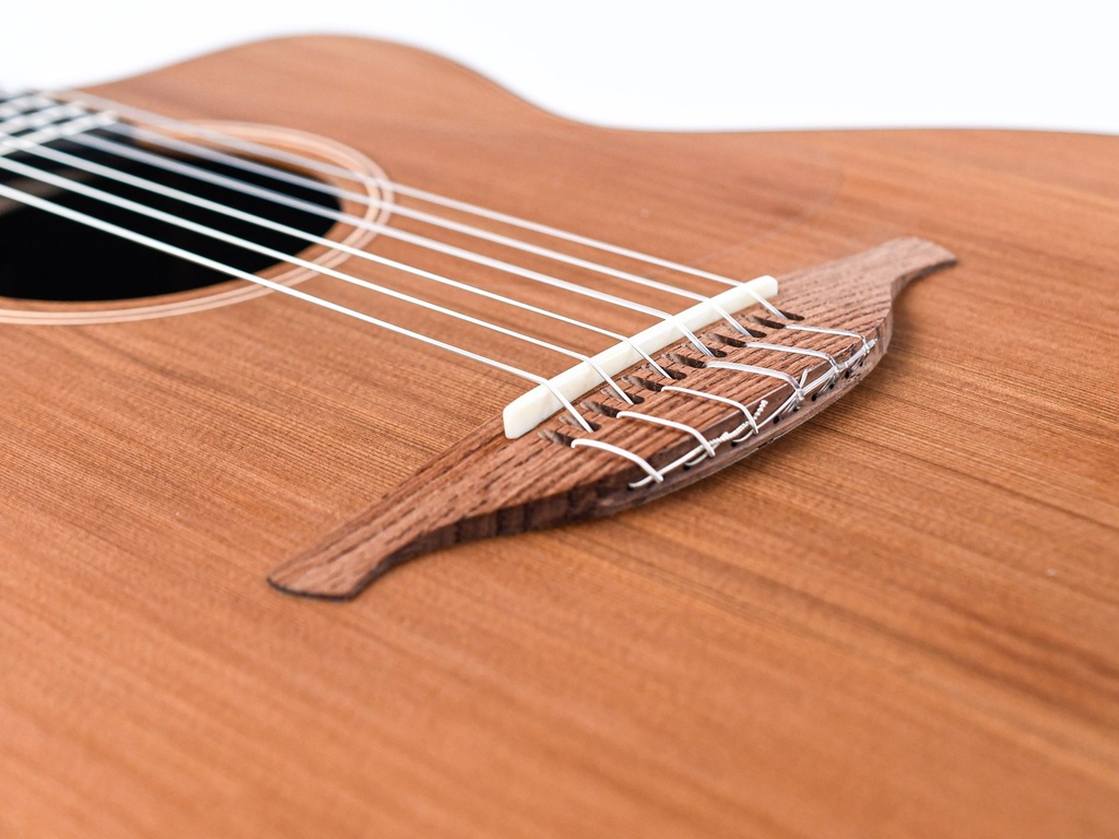 Lowden S25J Jazz Nylon 2024-11.jpg