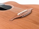 Lowden S25J Jazz Nylon 2024-11.jpg