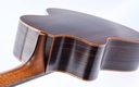 Lowden S25J Jazz Nylon 2024-10.jpg