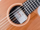 Lowden S25J Jazz Nylon 2024-12.jpg