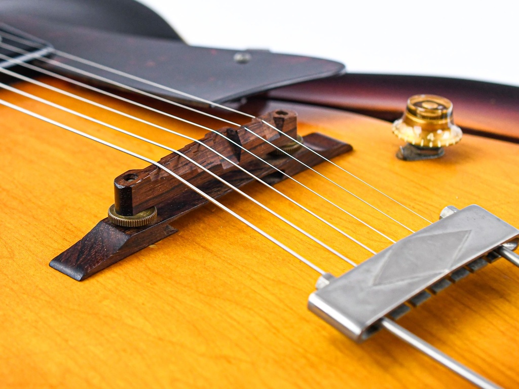 Gibson ES125T 1960-10.jpg