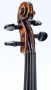 Viool Don-4.jpg