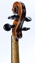 Viool Don-5.jpg