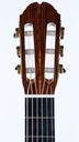 Mach Concert Double Top Cedar Rosewood-5.jpg