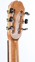 Mach Concert Double Top Cedar Rosewood-6.jpg