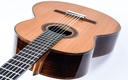 Mach Concert Double Top Cedar Rosewood-9.jpg