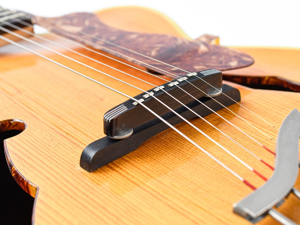 Rodebald Hoyer 17 inch Archtop Natural 1959-10.jpg