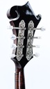 Gibson Master Model Flatiron Festival F Mandolin 1999-5.jpg