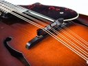 Gibson Master Model Flatiron Festival F Mandolin 1999-10.jpg