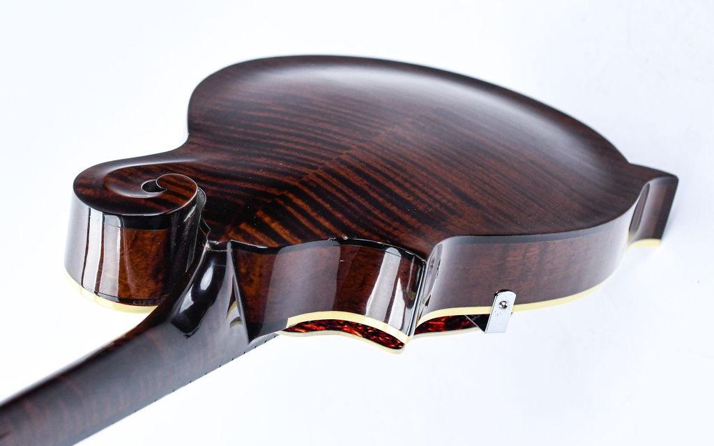 Gibson Master Model Flatiron Festival F Mandolin 1999-9.jpg