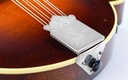 Gibson Master Model Flatiron Festival F Mandolin 1999-11.jpg