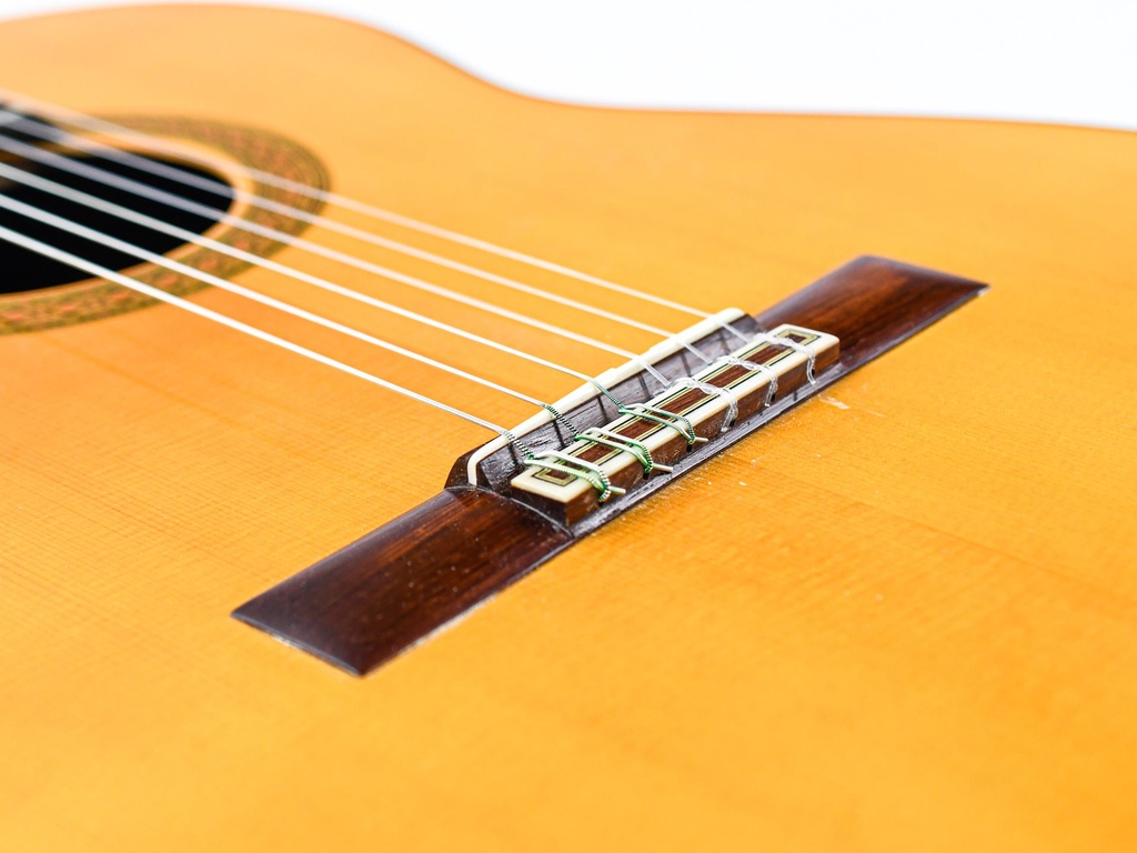 Bernabe Modelo 30 2010-10.jpg
