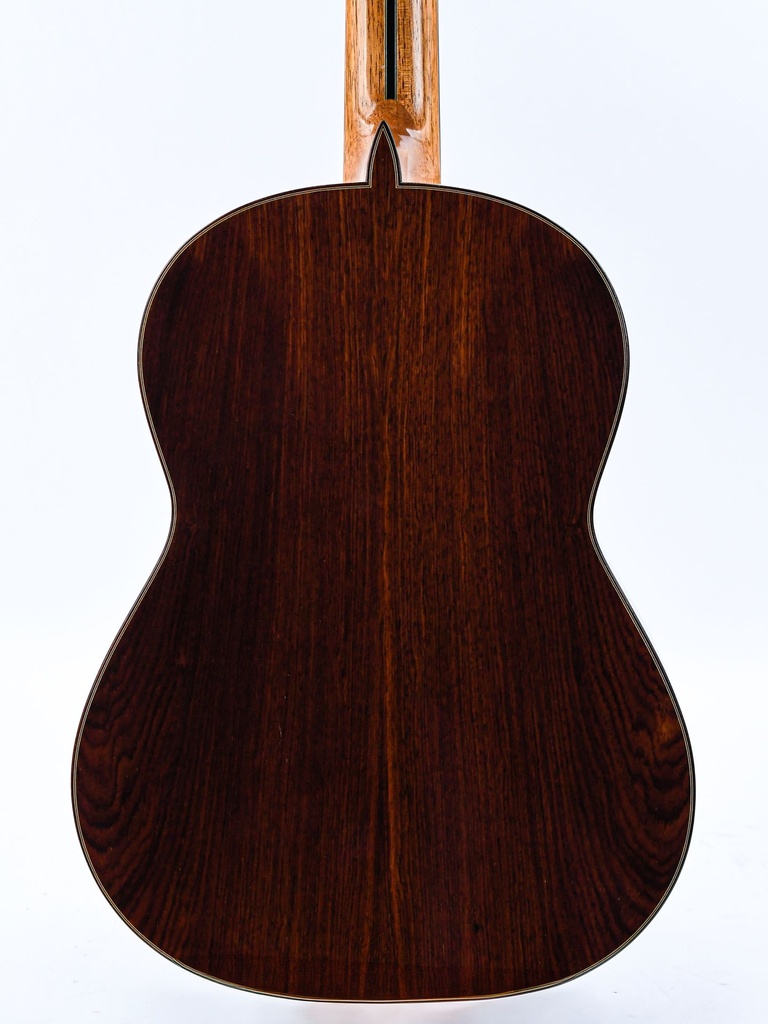 Bernabe Modelo 30 2010-6.jpg