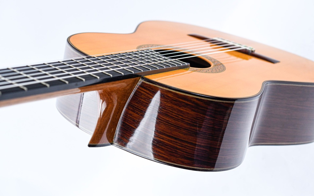 Bernabe Modelo 30 2010-8.jpg