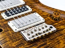 PRS Special 22 Semi Hollow Yellow Tiger-10.jpg