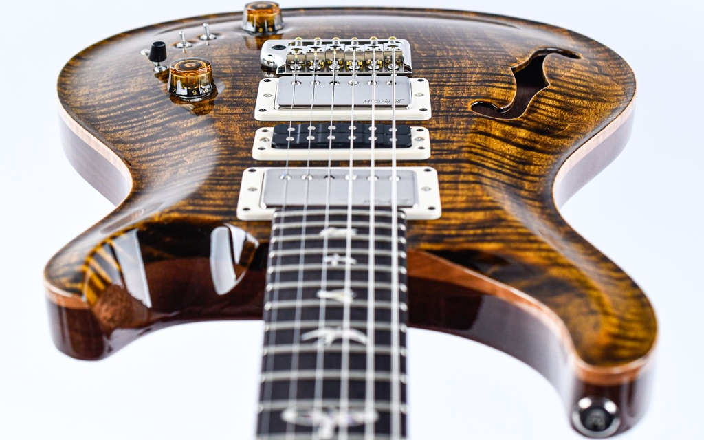 PRS Special 22 Semi Hollow Yellow Tiger-12.jpg