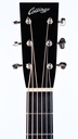 Collings D1A Adirondack Mahogany 2009-4.jpg
