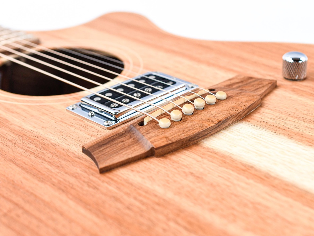 Cole Clark AN2EC All Blackwood HUM Natural Recent-7.jpg