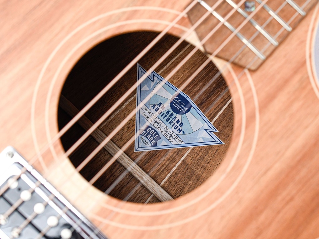 Cole Clark AN2EC All Blackwood HUM Natural Recent-8.jpg