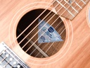 Cole Clark AN2EC All Blackwood HUM Natural Recent-8.jpg