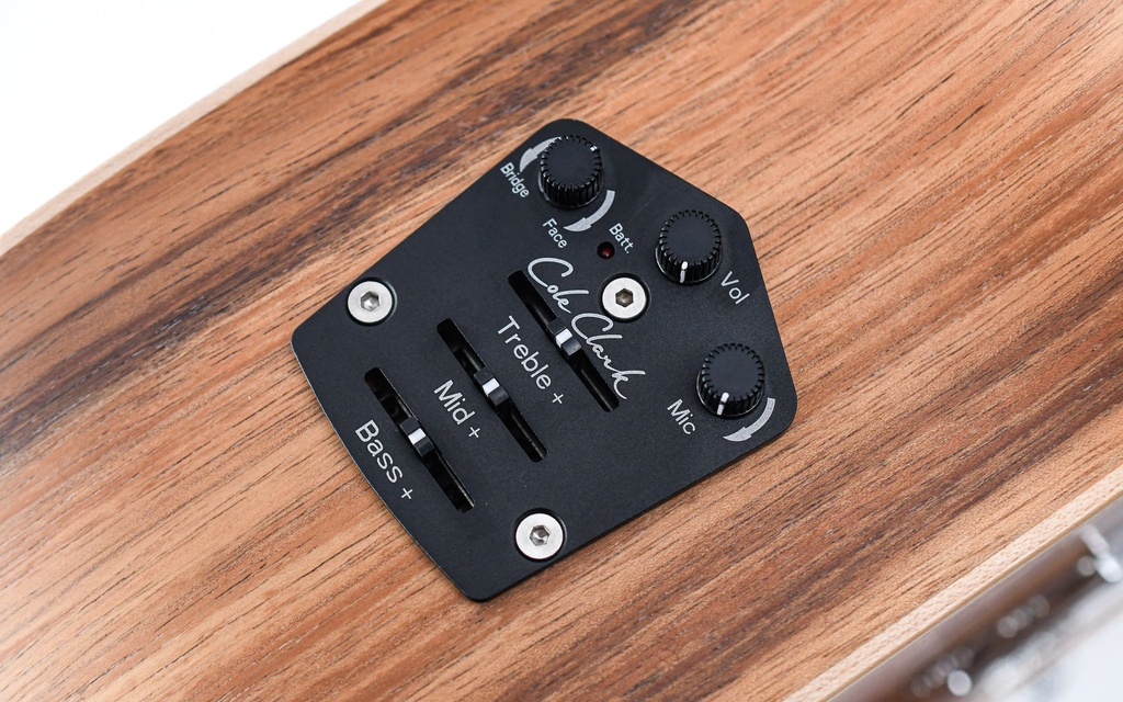 Cole Clark AN2EC All Blackwood HUM Natural Recent-9.jpg