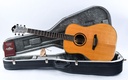 Furch Orange D SR Anthem 2020-1.jpg