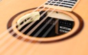 Furch Orange D SR Anthem 2020-11.jpg