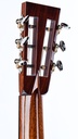 Collings DS1 Mahogany Spruce-5.jpg