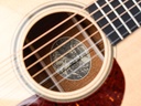 Collings DS1 Mahogany Spruce-11.jpg
