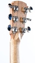 Cole Clark AN2EC All Blackwood HUM Natural Recent-1-2.jpg