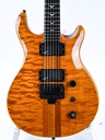 Epiphone Spotlight Trans Amber 1988-3.jpg