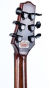 Epiphone Spotlight Trans Amber 1988-5.jpg