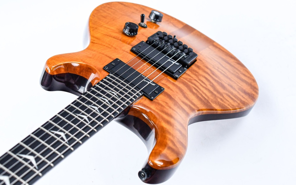 Epiphone Spotlight Trans Amber 1988-8.jpg