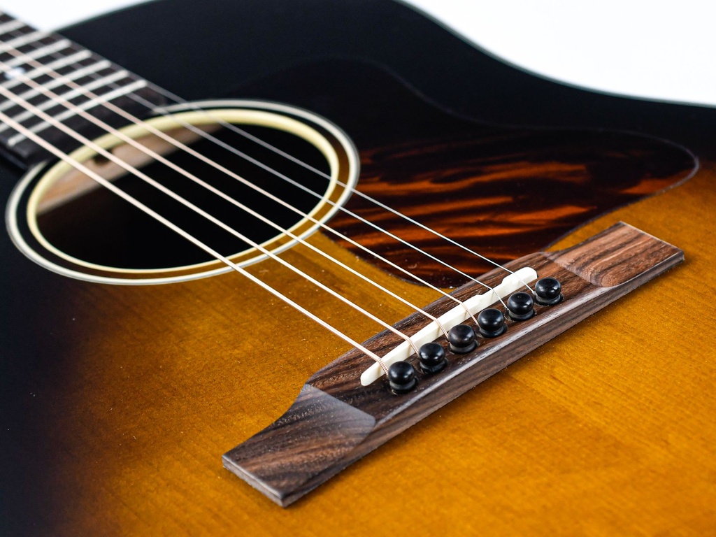 [E20SS-TC] Eastman E20SS TC Sunburst-10.jpg