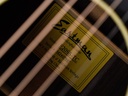 [E20SS-TC] Eastman E20SS TC Sunburst-12.jpg