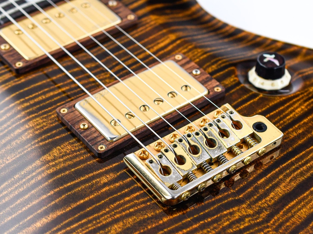[10 166896] PRS Voerman Wood Library Custom 24 Tiger Eye 2010-10.jpg