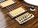 [10 166896] PRS Voerman Wood Library Custom 24 Tiger Eye 2010-10.jpg