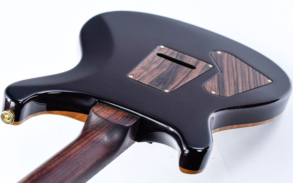 [10 166896] PRS Voerman Wood Library Custom 24 Tiger Eye 2010-9.jpg