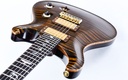 [10 166896] PRS Voerman Wood Library Custom 24 Tiger Eye 2010-8.jpg