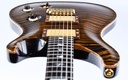 [10 166896] PRS Voerman Wood Library Custom 24 Tiger Eye 2010-14.jpg