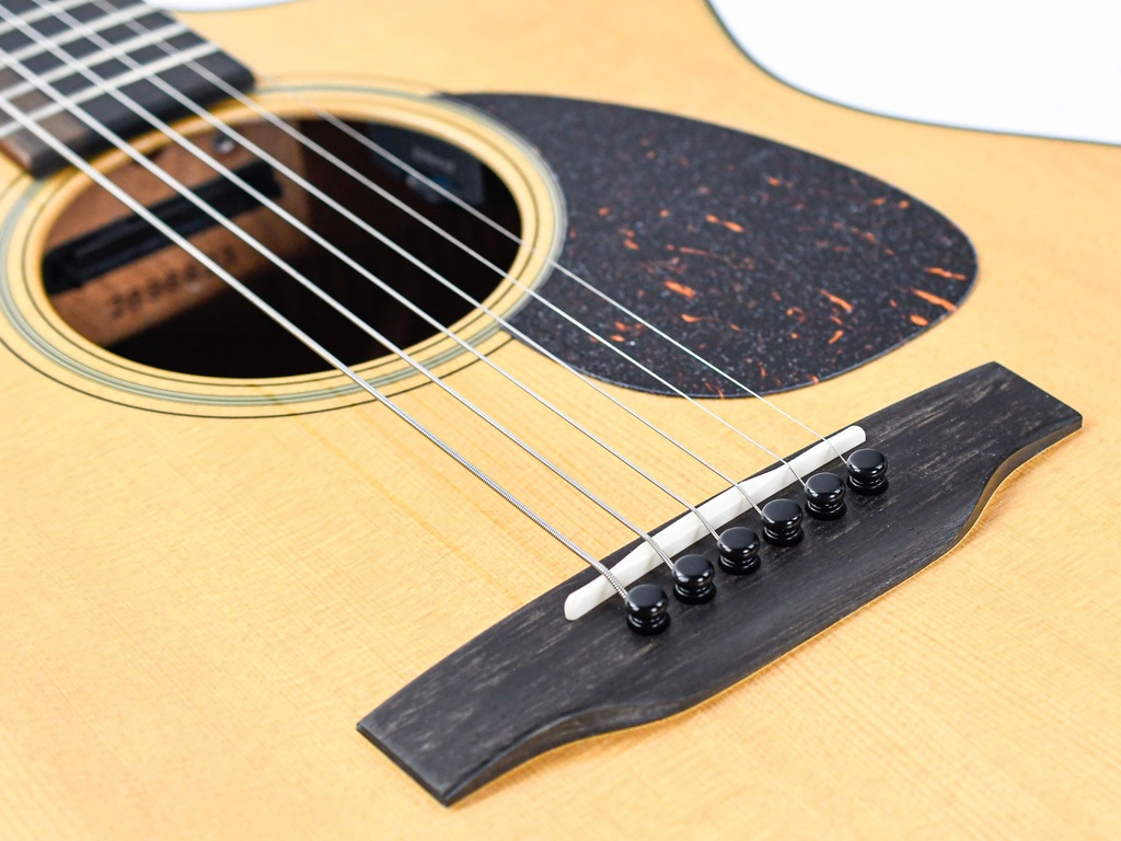 [GMA SC-18E] Martin SC18E-10.jpg