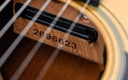 [GMA SC-18E] Martin SC18E-13.jpg