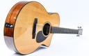 [GMA SC-18E] Martin SC18E-11.jpg