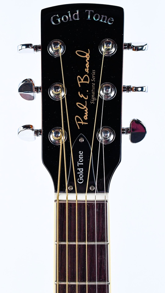 Gold Tone Beard Resonator 2025-4.jpg