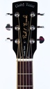 Gold Tone Beard Resonator 2025-4.jpg