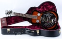Gold Tone Beard Resonator 2025-1.jpg