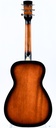 Gold Tone Beard Resonator 2025-7.jpg